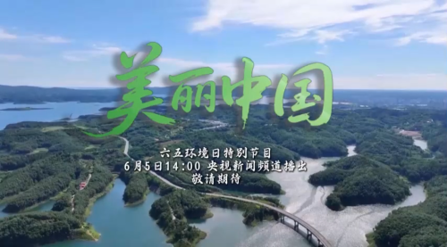 2O24管家婆一码一肖资料