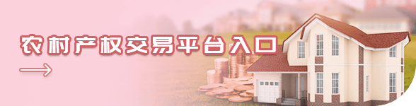 2O24管家婆一码一肖资料
